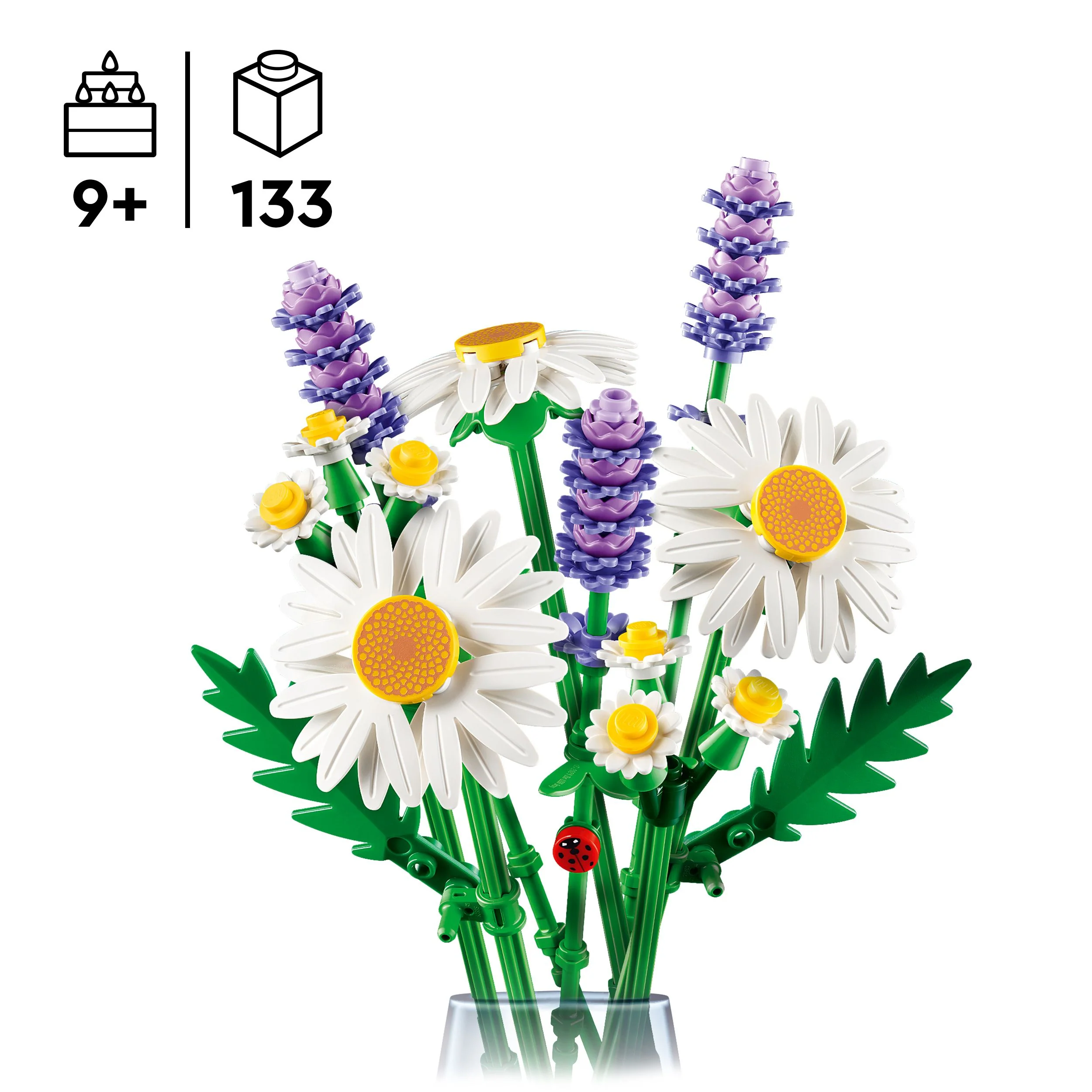 תמונה ממוזערת 1